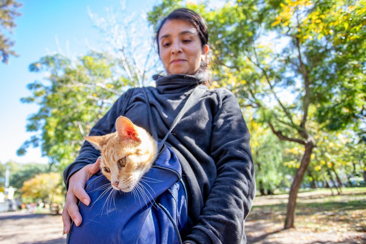 Castración itinerante en Lanús Oeste: turnos presenciales gratuitos