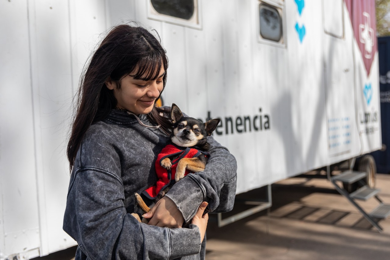 Vacuná y castrá a tu mascota de manera gratuita en el Quirófano Móvil