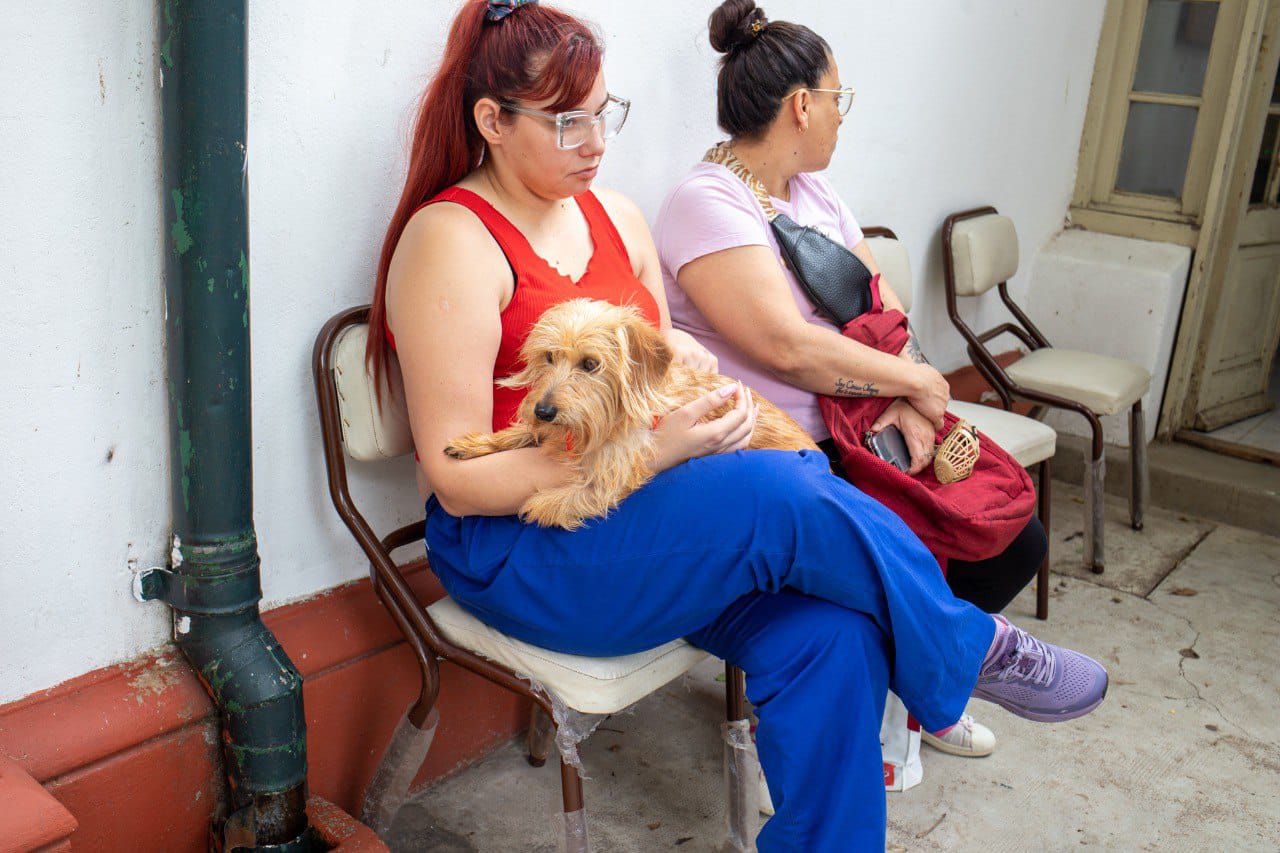 El Punto de Castración Itinerante de mascotas llega a Lanús Oeste en NIDO Villa Jardín