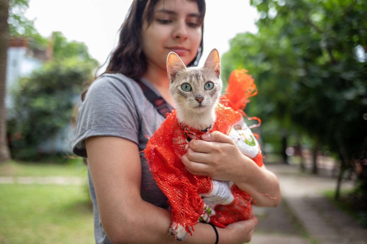 Nuevo punto de Castración Itinerante en NIDO Villa Jardín