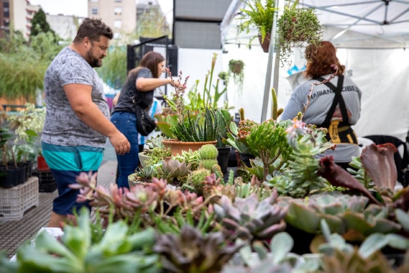 Nuevo operativo de Ambiente Sí en Remedios de Escalada