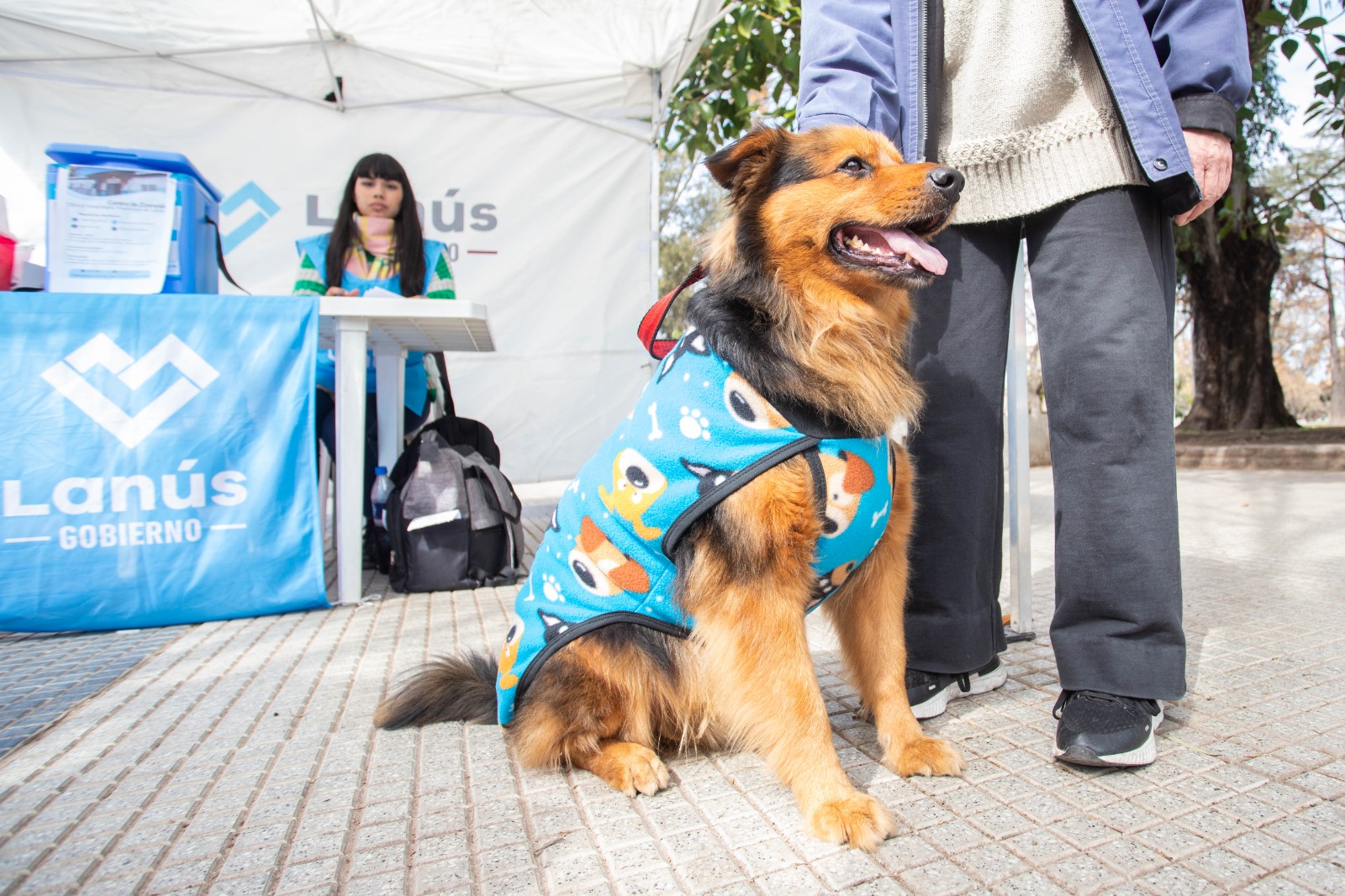 Castración Itinerante de mascotas: reservá tu turno gratuito en Lanús Oeste