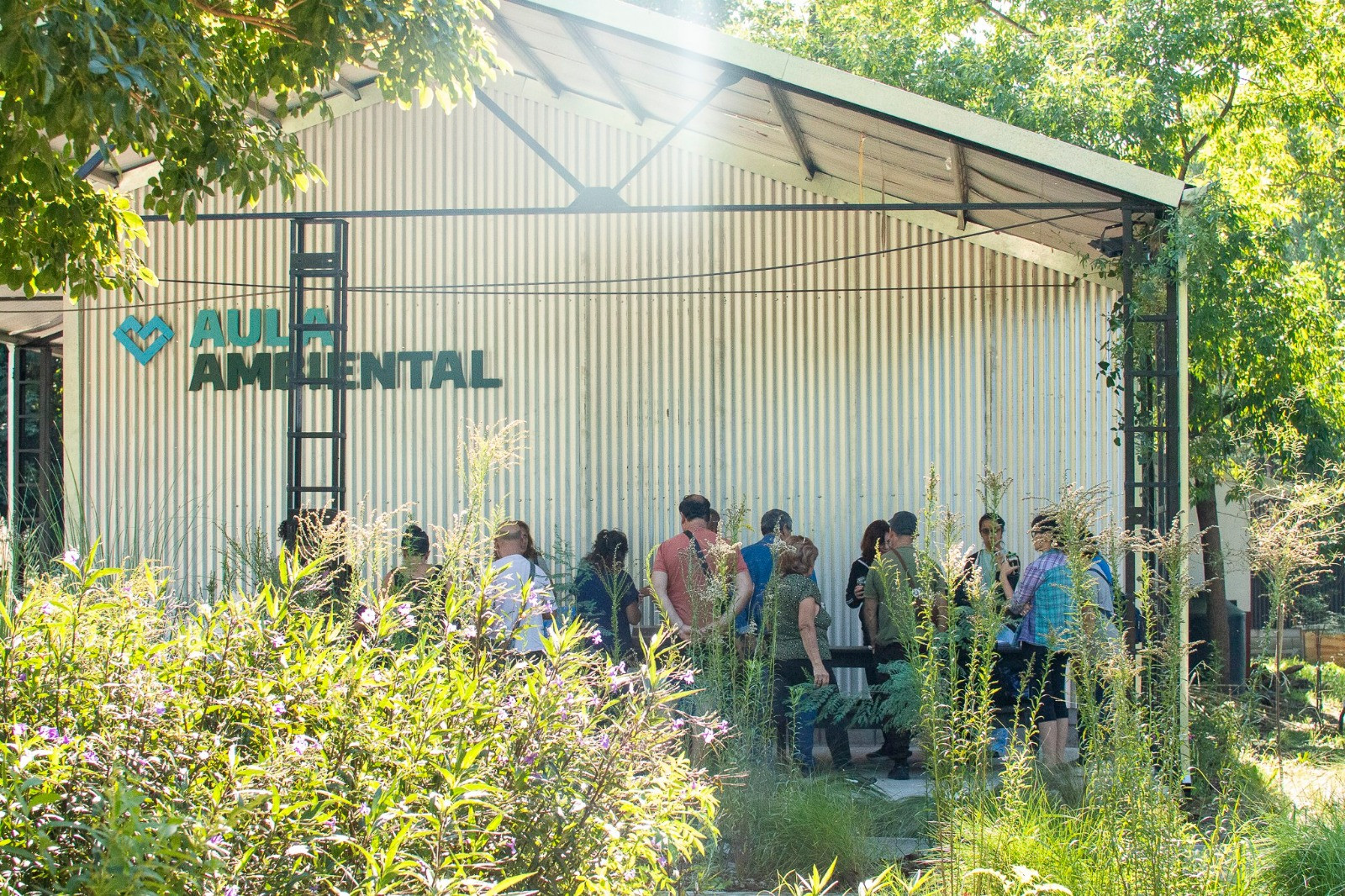 CRONOGRAMA DE ACTIVIDADES DURANTE JUNIO EN EL MARCO DEL DÍA MUNDIAL DEL AMBIENTE